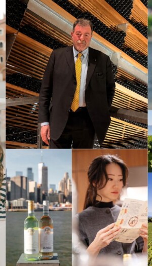 Pinot Grigio delle Venezie, tiene la Doc bianchista pi&ugrave; grande d&rsquo;Italia. Focus: trasparenza e valore