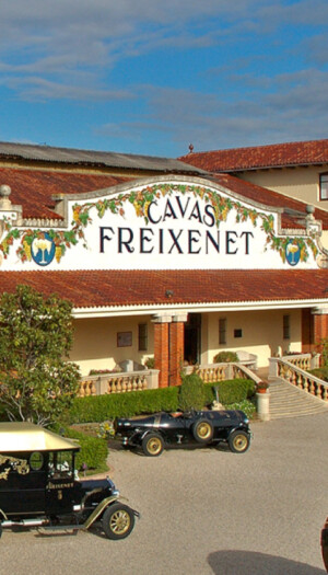 Il colosso tedesco Henkell & Co. diventa proprietario unico di Freixenet