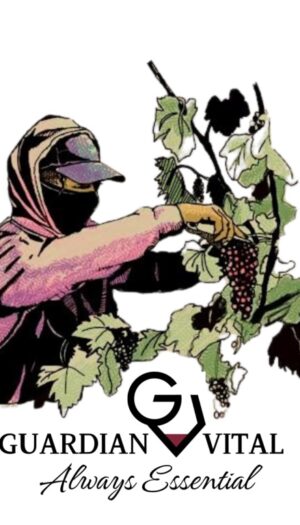 Sicurezza, retribuzione equa, rispetto: nasce l&rsquo;etichetta di vino che promuove l&rsquo;etica del lavoro