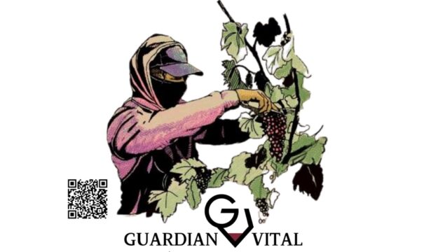 Sicurezza, retribuzione equa, rispetto: nasce l&rsquo;etichetta di vino che promuove l&rsquo;etica del lavoro