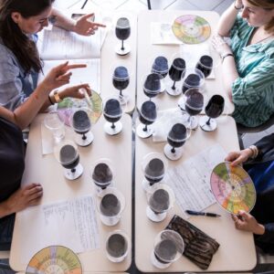 Quando il design si mette a servizio del food: nasce il Master per ripensare i sistemi alimentari