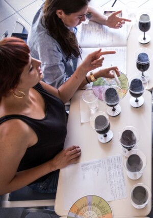 Quando il design si mette a servizio del food: nasce il Master per ripensare i sistemi alimentari