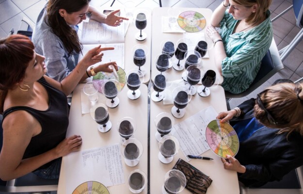 DESIGN, FOOD, MASTER IN DESIGN FOR FOOD, POLI DESIGN, POLITECNICO DI MILANO, RICERCA SCIENTIFICA, UNIVERSITÀ DI PARMA, Non Solo Vino