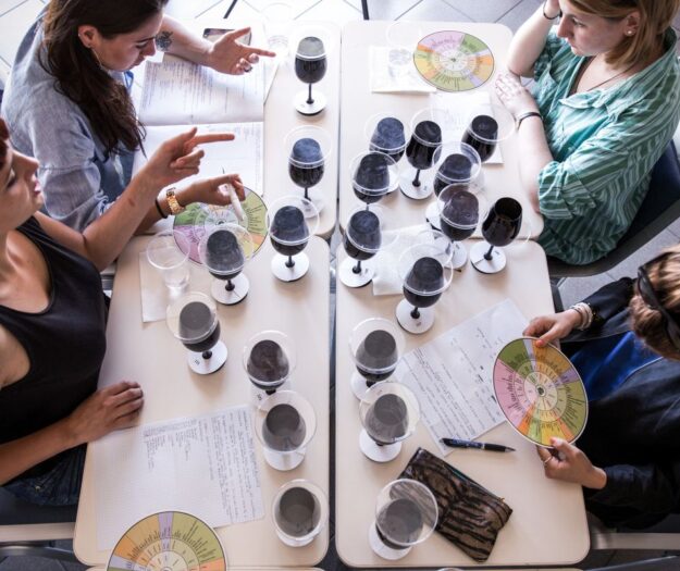 Quando il design si mette a servizio del food: nasce il Master per ripensare i sistemi alimentari