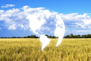 Dai costi energetici e dei fertilizzanti all&rsquo;export: la guerra in Iran spaventa anche l&rsquo;agricoltura