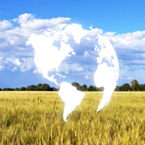 Dai costi energetici e dei fertilizzanti all&rsquo;export: la guerra in Iran spaventa anche l&rsquo;agricoltura