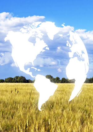 Dai costi energetici e dei fertilizzanti all&rsquo;export: la guerra in Iran spaventa anche l&rsquo;agricoltura