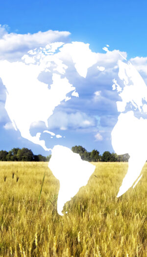 Dai costi energetici e dei fertilizzanti all&rsquo;export: la guerra in Iran spaventa anche l&rsquo;agricoltura