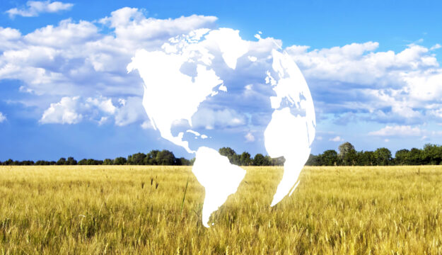 Dai costi energetici e dei fertilizzanti all&rsquo;export: la guerra in Iran spaventa anche l&rsquo;agricoltura