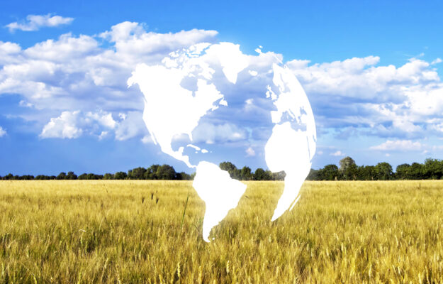 AGRICOLTURA, CIA AGRICOLTORI ITALIANI, Coldiretti, Confagricoltura, Non Solo Vino