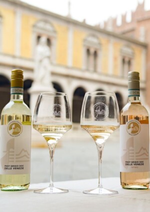 Il Pinot Grigio Delle Venezie &egrave; l&rsquo;&ldquo;Official Wine&rdquo; del Giro d&rsquo;Italia 2026