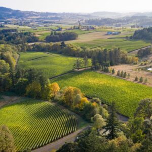 Roco Winery, l&rsquo;azienda di Herita Usa (famiglia Marzotto), acquisisce i vigneti di Domaine Lumineux&nbsp;