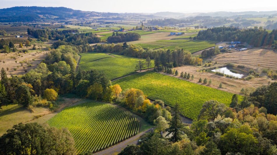 Roco Winery in Oregon