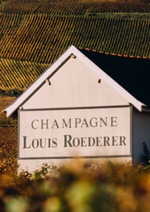 Louis Roederer, Krug e Bollinger si confermano i brand di Champagne pi&ugrave; ammirati nel mondo