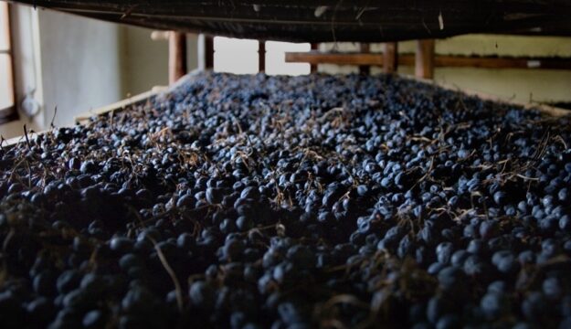 Il rito della messa a riposo delle uve della Valpolicella candidato a Patrimonio Immateriale Unesco&nbsp;