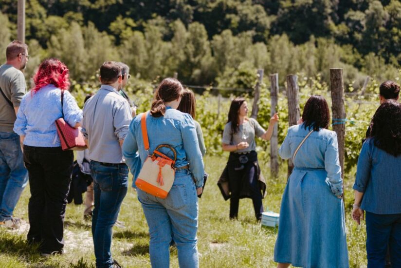 I “Vigneti Aperti” al via nelle cantine del Movimento Turismo del Vino Friuli Venezia Giulia