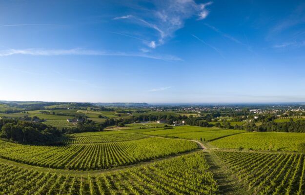 Bordeaux, ESTIRPAZIONE VIGNETI, FRANCEAGRIMER, FRANCIA, GIRANDA, PACCHETTO VINO, VINO FRANCESE, Mondo