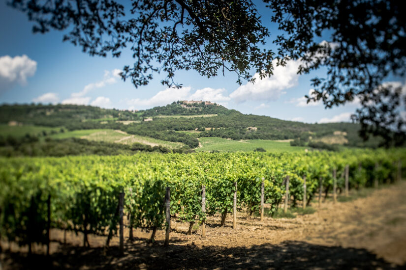 I vigneti di San Felice, in Chianti Classico