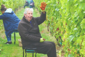 Regno Unito, crescita quantitativa e qualitativa senza precedenti per la viticoltura britannica