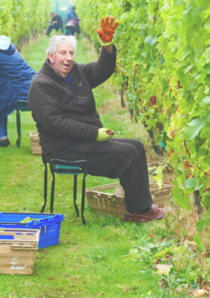 Regno Unito, crescita quantitativa e qualitativa senza precedenti per la viticoltura britannica