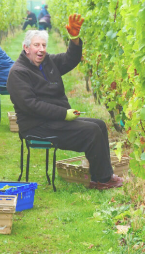 Regno Unito, crescita quantitativa e qualitativa senza precedenti per la viticoltura britannica