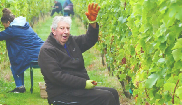 Regno Unito, crescita quantitativa e qualitativa senza precedenti per la viticoltura britannica