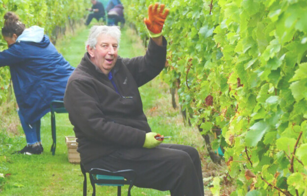 REGNO UNITO, VENDEMMIA 2025, VINO INGLESE, WineGb, Mondo