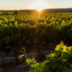 Pianificazione del territorio con gli Odg e lavoro agricolo nel climate change: novit&agrave; dalla Francia