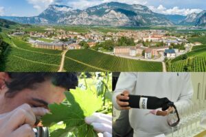 A San Michele all&rsquo;Adige&nbsp;giovani enologi e maestri oleari d&rsquo;Italia si sfidano a colpi di vini e olii