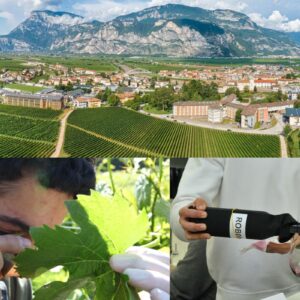 A San Michele all&rsquo;Adige&nbsp;giovani enologi e maestri oleari d&rsquo;Italia si sfidano a colpi di vini e olii