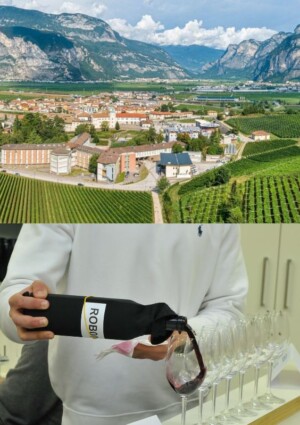 A San Michele all&rsquo;Adige&nbsp;giovani enologi e maestri oleari d&rsquo;Italia si sfidano a colpi di vini e oli