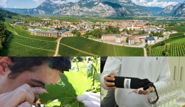 A San Michele all&rsquo;Adige&nbsp;giovani enologi e maestri oleari d&rsquo;Italia si sfidano a colpi di vini e olii