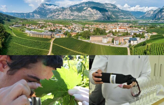 ENOLOGI, FONDAZIONE MACH, ISTITUTI AGRARI, MAESTRI OLEARI, Italia