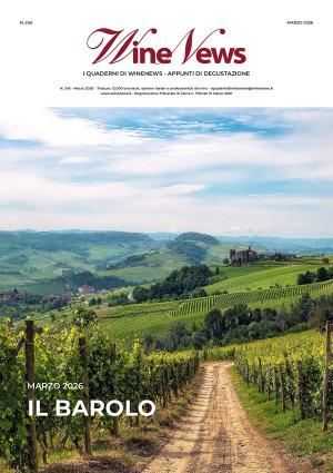 I Quaderni di WineNews - Il Barolo