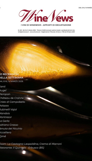 I Vini di WineNews