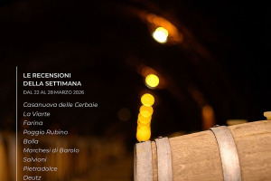 I Vini di WineNews - N. 407