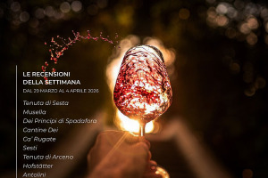 I Vini di WineNews - N. 408