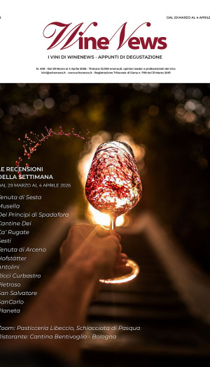 I Vini di WineNews