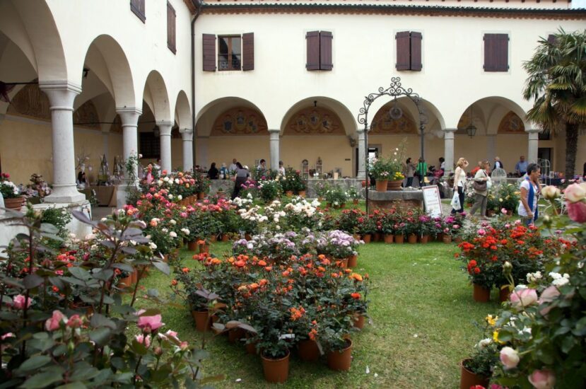 “Giardini Aperti in Friuli Venezia Giulia”: il roseto dell’Abbazia di Rosazzo i cui vigneti sono curati da Livio Felluga (credit: Luigi Vitale)