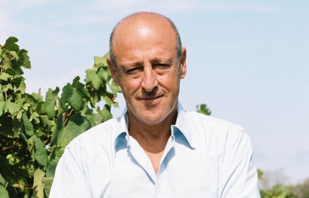 ALESSIO DI MAJO NORANTE, MOLISE, vino, Italia