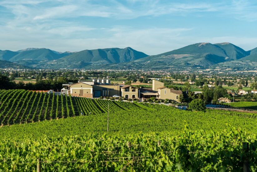 La Arnaldo Caprai, cantina simbolo di Montefalco