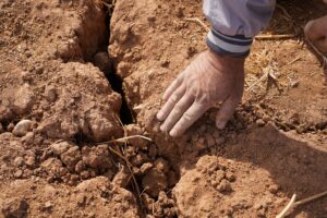 Un Pianeta sempre pi&ugrave; caldo sta spingendo l&rsquo;agricoltura e i sistemi agroalimentari al collasso