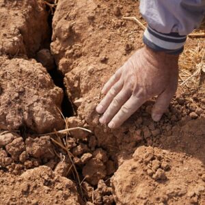 Un Pianeta sempre pi&ugrave; caldo sta spingendo l&rsquo;agricoltura e i sistemi agroalimentari al collasso
