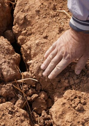 Un Pianeta sempre pi&ugrave; caldo sta spingendo l&rsquo;agricoltura e i sistemi agroalimentari al collasso