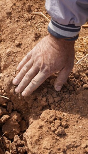 Un Pianeta sempre pi&ugrave; caldo sta spingendo l&rsquo;agricoltura e i sistemi agroalimentari al collasso