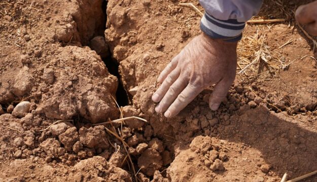 Un Pianeta sempre pi&ugrave; caldo sta spingendo l&rsquo;agricoltura e i sistemi agroalimentari al collasso
