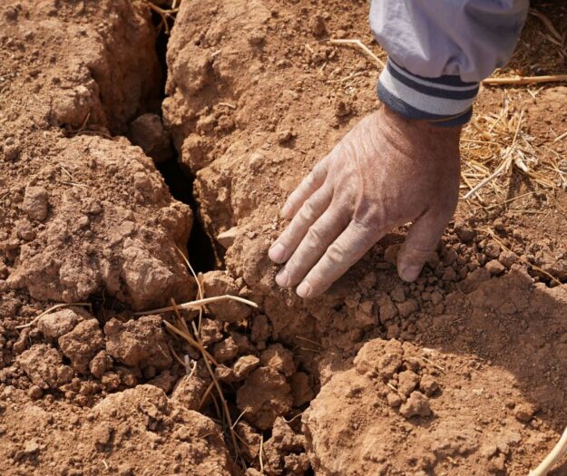 Un Pianeta sempre pi&ugrave; caldo sta spingendo l&rsquo;agricoltura e i sistemi agroalimentari al collasso