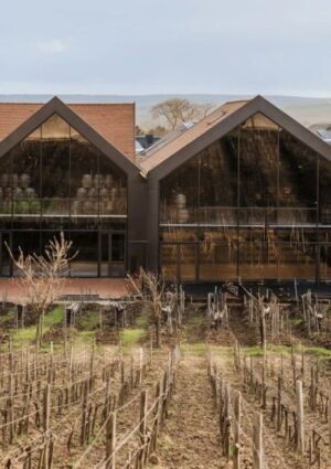 Maison Bollinger inizia i festeggiamenti dei suoi 200 anni di storia inaugurando la nuova cantina