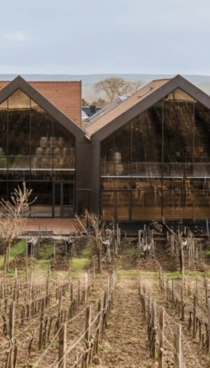 Maison Bollinger inizia i festeggiamenti dei suoi 200 anni di storia inaugurando la nuova cantina