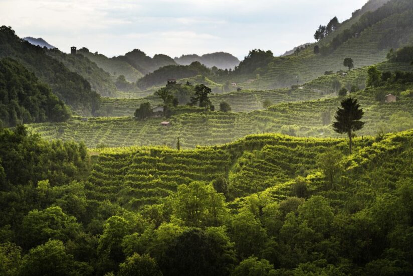 Le Colline del Conegliano Valdobbiadene Prosecco Superiore Docg Unesco (ph: Arcangelo Piai)